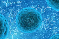 ����������ѧ