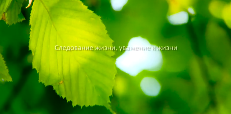 NG����Ʒ�Ƶ�����������������Ƭ�������ܧڧۣ�