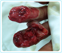 �Ϲ�NG��28(�й���)����Ʒ���������޹�˾