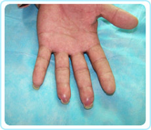 �Ϲ�NG��28(�й���)����Ʒ���������޹�˾