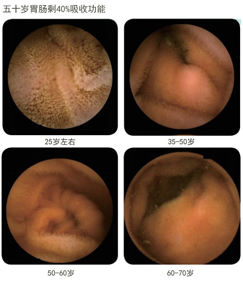 �Ϲ�NG��28(�й���)����Ʒ���������޹�˾