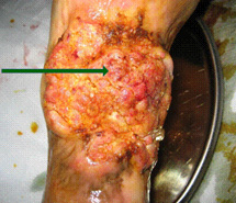 �Ϲ�NG��28(�й���)����Ʒ���������޹�˾