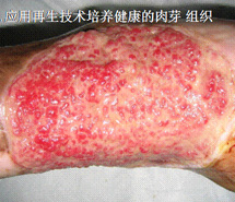 �Ϲ�NG��28(�й���)����Ʒ���������޹�˾