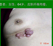 �Ϲ�NG��28(�й���)����Ʒ���������޹�˾