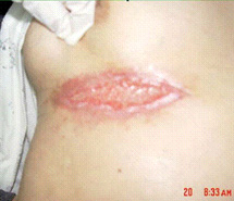 �Ϲ�NG��28(�й���)����Ʒ���������޹�˾