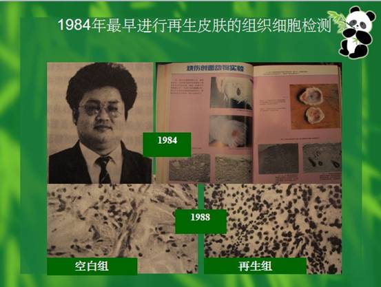 �Ϲ�NG��28(�й���)����Ʒ���������޹�˾