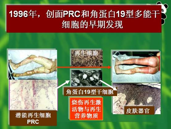 �Ϲ�NG��28(�й���)����Ʒ���������޹�˾