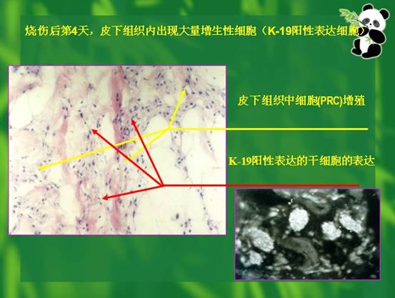 �Ϲ�NG��28(�й���)����Ʒ���������޹�˾