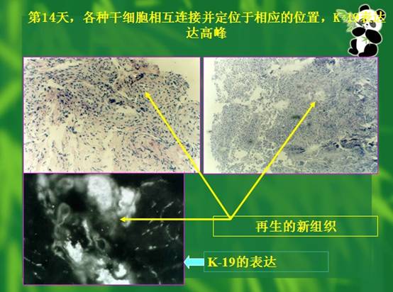 �Ϲ�NG��28(�й���)����Ʒ���������޹�˾