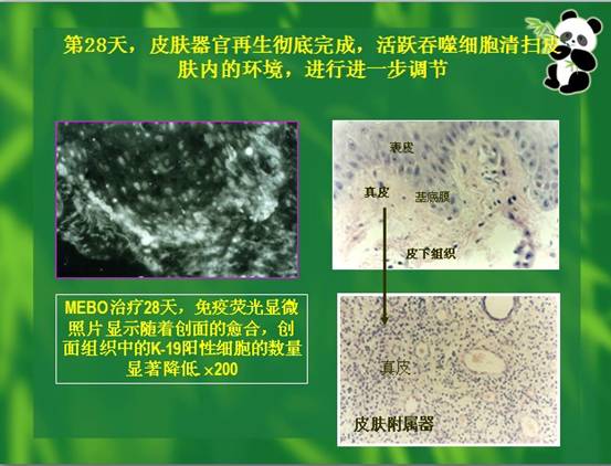 �Ϲ�NG��28(�й���)����Ʒ���������޹�˾