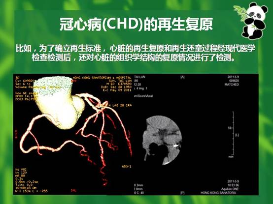 �Ϲ�NG��28(�й���)����Ʒ���������޹�˾