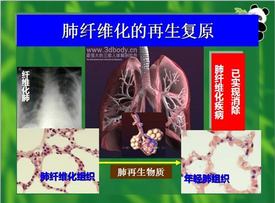 �Ϲ�NG��28(�й���)����Ʒ���������޹�˾