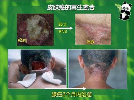 �Ϲ�NG��28(�й���)����Ʒ���������޹�˾