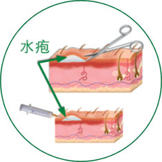 �Ϲ�NG��28(�й���)����Ʒ���������޹�˾