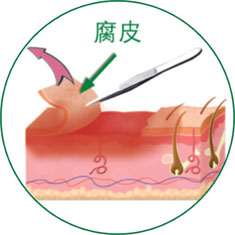 �Ϲ�NG��28(�й���)����Ʒ���������޹�˾