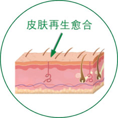 �Ϲ�NG��28(�й���)����Ʒ���������޹�˾