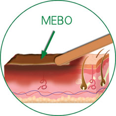 �Ϲ�NG��28(�й���)����Ʒ���������޹�˾