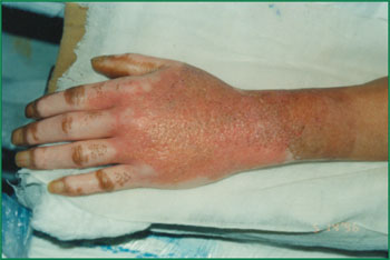 �Ϲ�NG��28(�й���)����Ʒ���������޹�˾