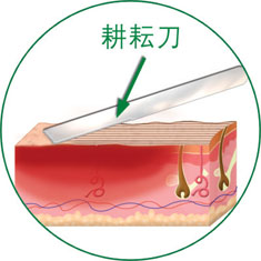 �Ϲ�NG��28(�й���)����Ʒ���������޹�˾