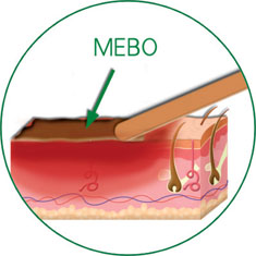 �Ϲ�NG��28(�й���)����Ʒ���������޹�˾