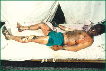 �Ϲ�NG��28(�й���)����Ʒ���������޹�˾