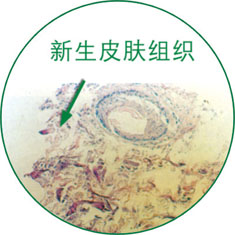 �Ϲ�NG��28(�й���)����Ʒ���������޹�˾