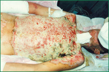 �Ϲ�NG��28(�й���)����Ʒ���������޹�˾