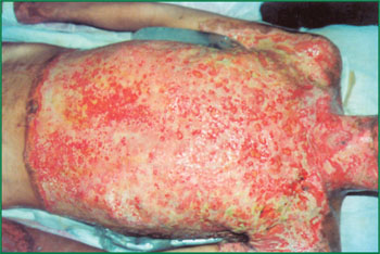 �Ϲ�NG��28(�й���)����Ʒ���������޹�˾