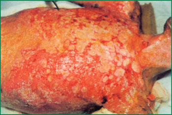 �Ϲ�NG��28(�й���)����Ʒ���������޹�˾