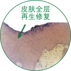 �Ϲ�NG��28(�й���)����Ʒ���������޹�˾