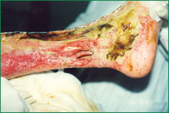 �Ϲ�NG��28(�й���)����Ʒ���������޹�˾