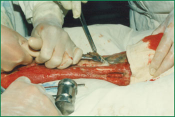 �Ϲ�NG��28(�й���)����Ʒ���������޹�˾