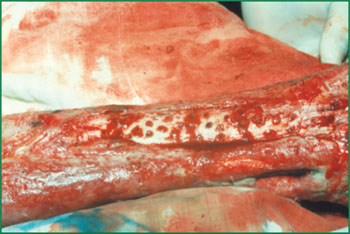 �Ϲ�NG��28(�й���)����Ʒ���������޹�˾