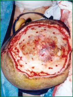 �Ϲ�NG��28(�й���)����Ʒ���������޹�˾