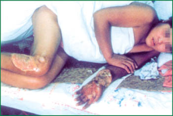 �Ϲ�NG��28(�й���)����Ʒ���������޹�˾