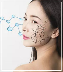 �Ϲ�NG��28(�й���)����Ʒ���������޹�˾