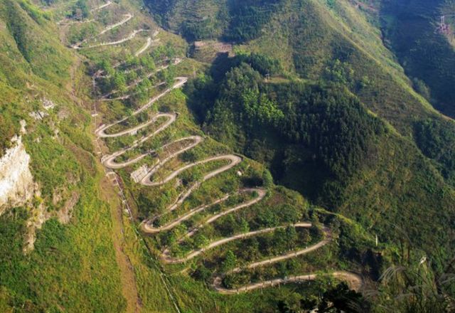 �Ϲ�NG��28(�й���)����Ʒ���������޹�˾