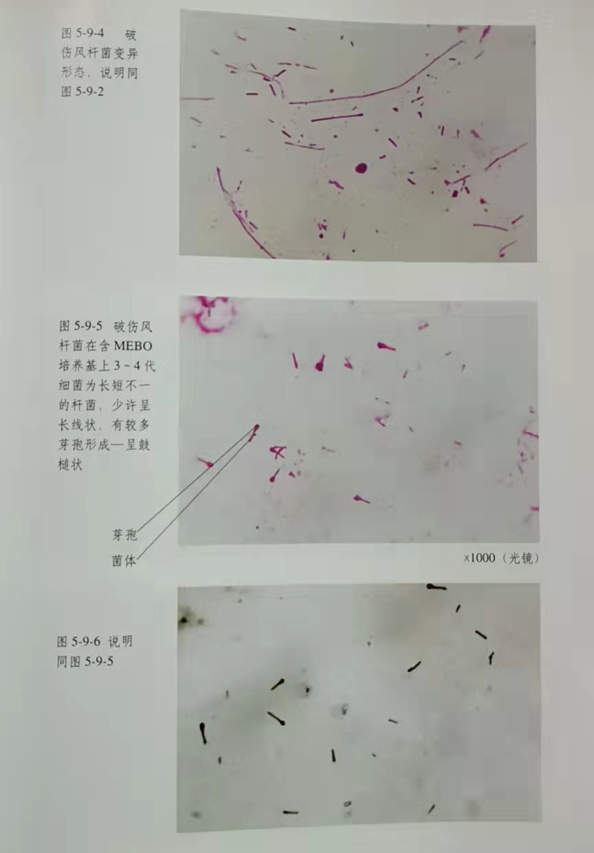 �Ϲ�NG��28(�й���)����Ʒ���������޹�˾