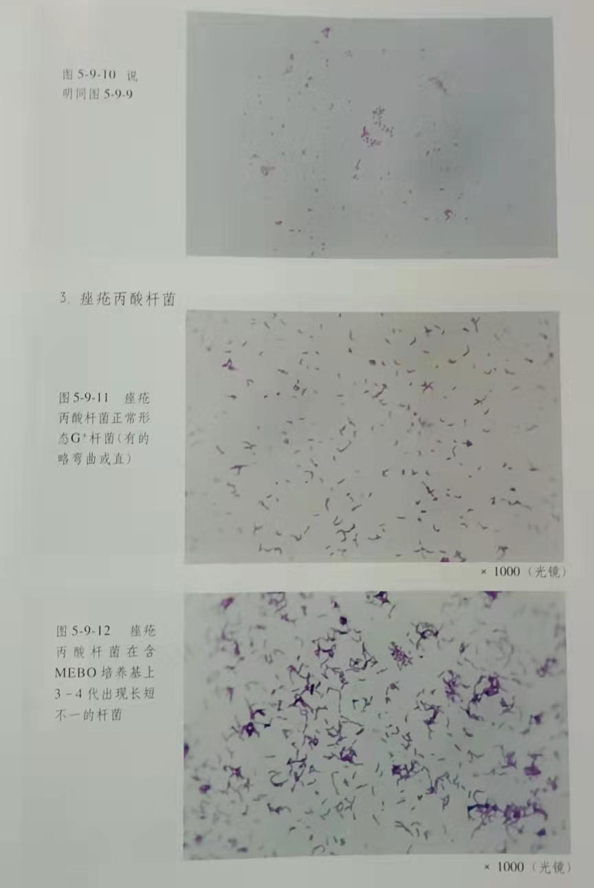 �Ϲ�NG��28(�й���)����Ʒ���������޹�˾