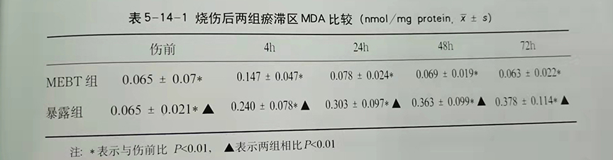 �Ϲ�NG��28(�й���)����Ʒ���������޹�˾