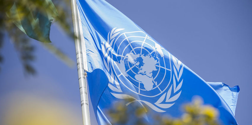 �Ϲ�NG��28(�й���)����Ʒ���������޹�˾