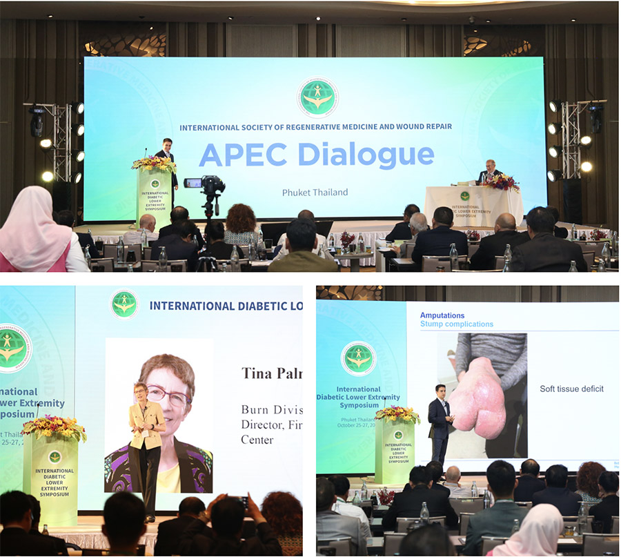 �Ϲ�NG��28(�й���)����Ʒ���������޹�˾