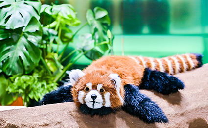 �Ϲ�NG��28(�й���)����Ʒ���������޹�˾