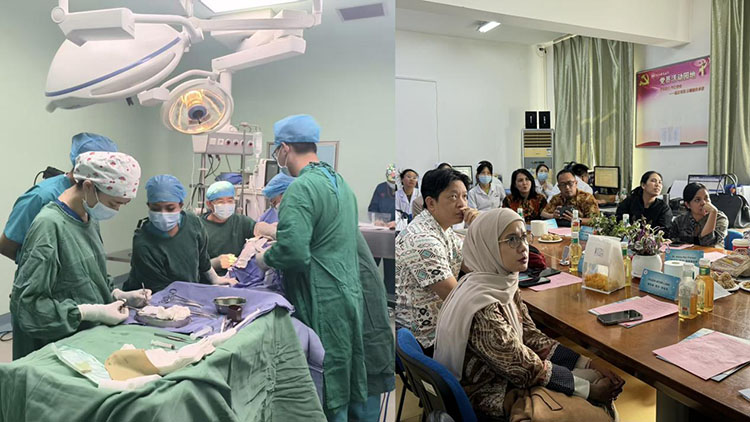 �Ϲ�NG��28(�й���)����Ʒ���������޹�˾