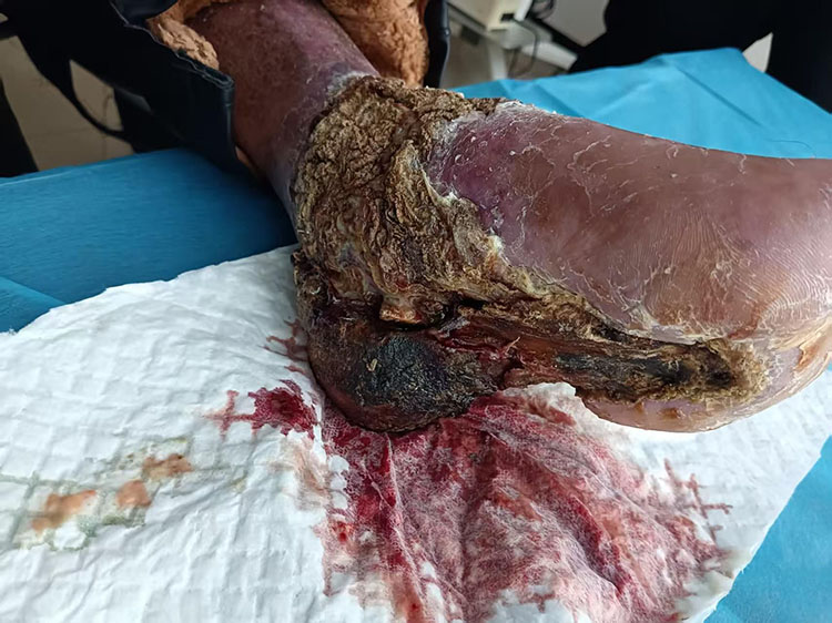 �Ϲ�NG��28(�й���)����Ʒ���������޹�˾