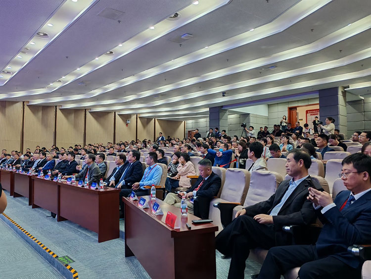 �Ϲ�NG��28(�й���)����Ʒ���������޹�˾