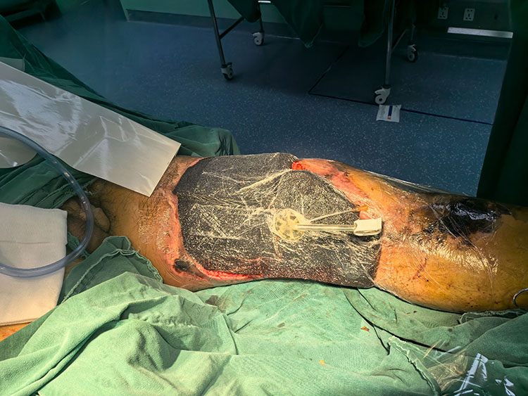 �Ϲ�NG��28(�й���)����Ʒ���������޹�˾