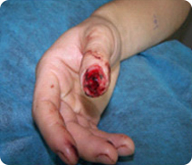 �Ϲ�NG��28(�й���)����Ʒ���������޹�˾