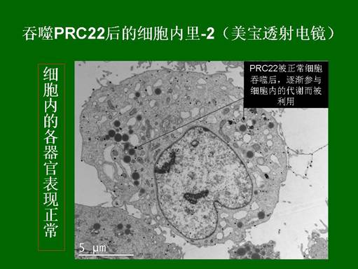 �Ϲ�NG��28(�й���)����Ʒ���������޹�˾