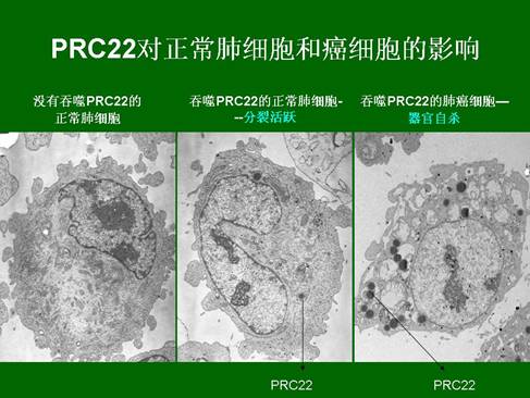 �Ϲ�NG��28(�й���)����Ʒ���������޹�˾